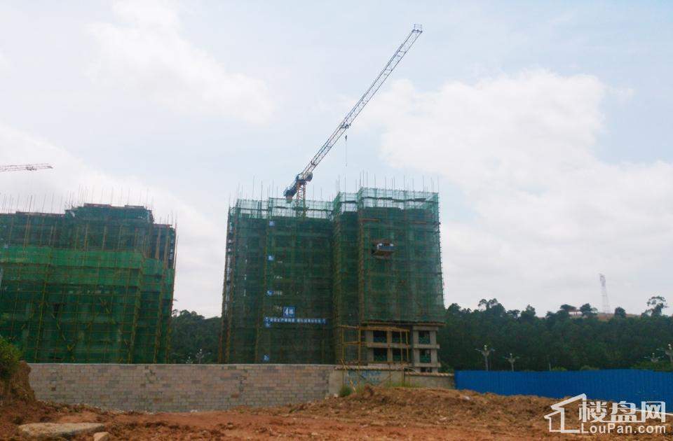 漢軍五象一號(hào)科技引領(lǐng)未來(lái)，最新動(dòng)態(tài)揭秘生活重塑之力