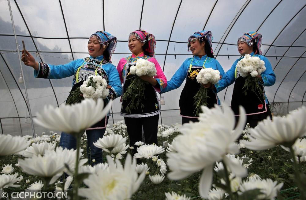 黔西縣鐘山鎮(zhèn)最新動態(tài)，溫馨日常的點滴記錄