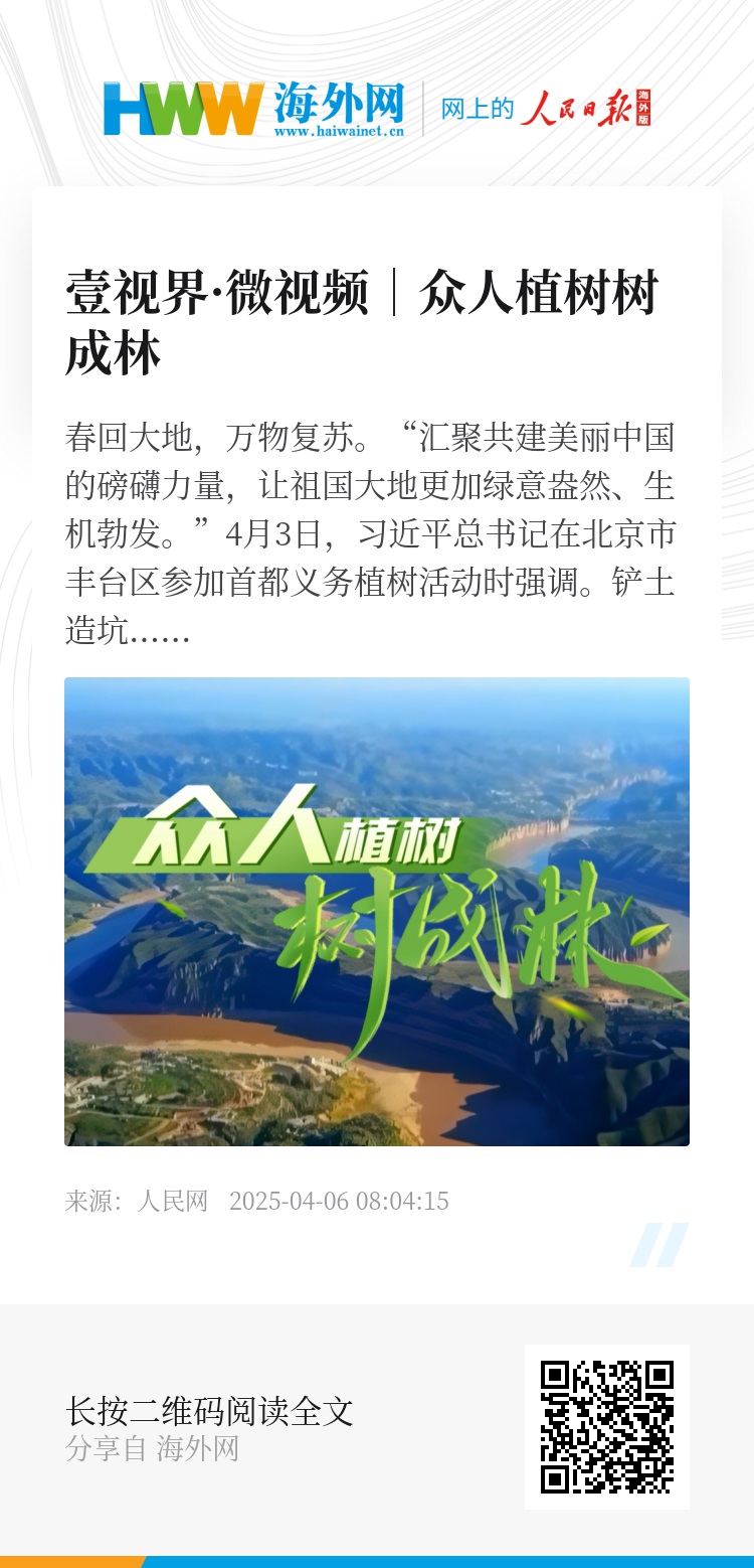 長(zhǎng)青樹眾籌最新動(dòng)態(tài)，小巷驚喜與特色小店的獨(dú)特魅力探索