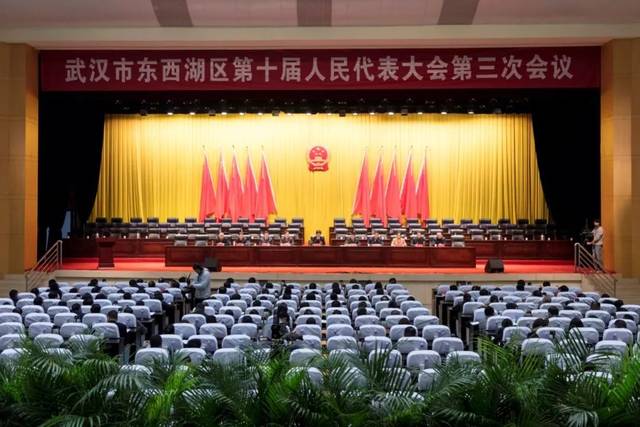 東西湖區(qū)最新任免，人事變動(dòng)的觀點(diǎn)闡述與解析