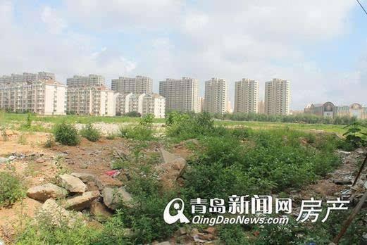 李滄楊哥莊最新動(dòng)態(tài)，科技引領(lǐng)生活，智能新品體驗(yàn)未來