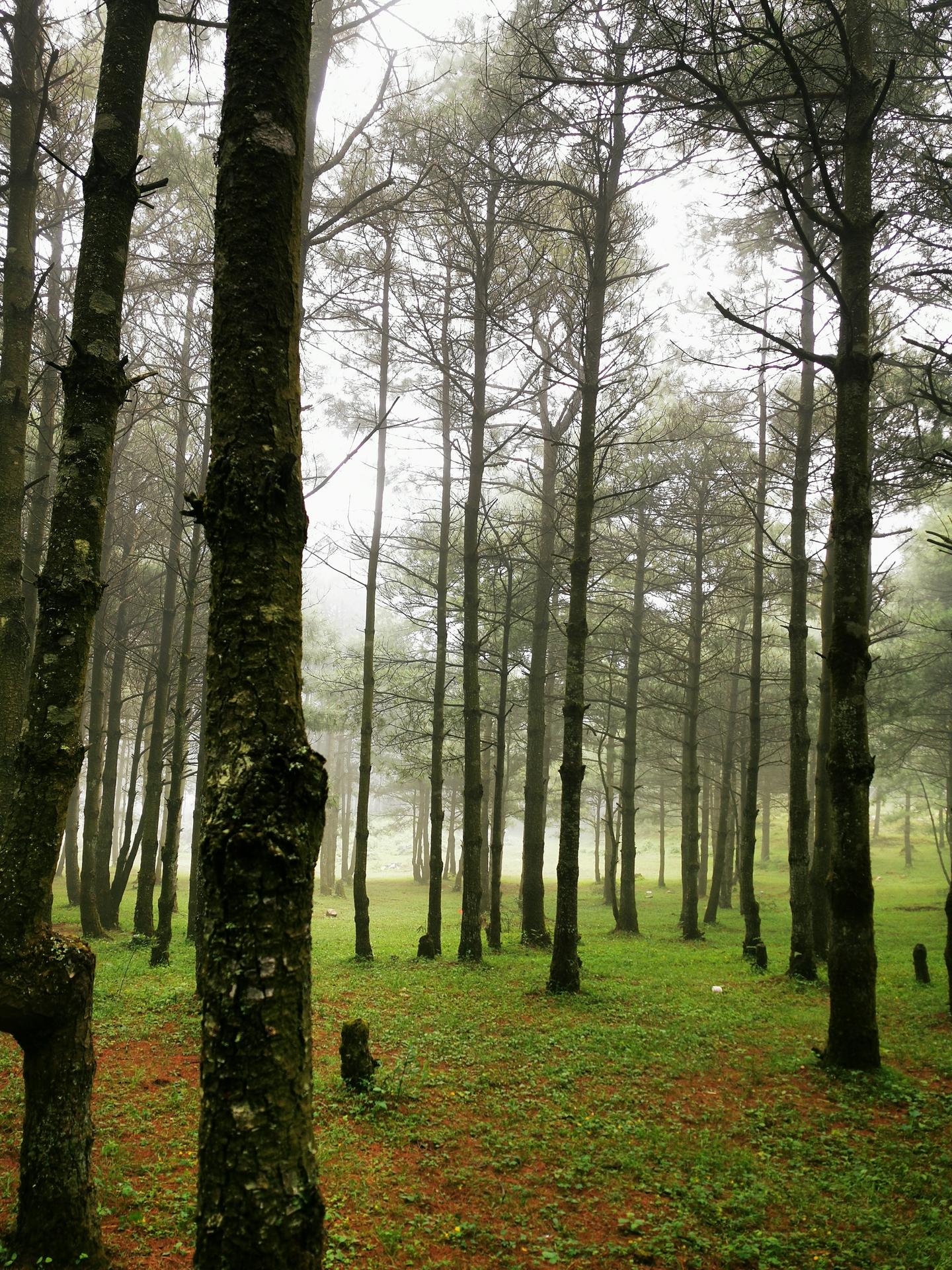 期貨世界第三部最新探索，與自然美景的邂逅與內(nèi)心平和的追尋