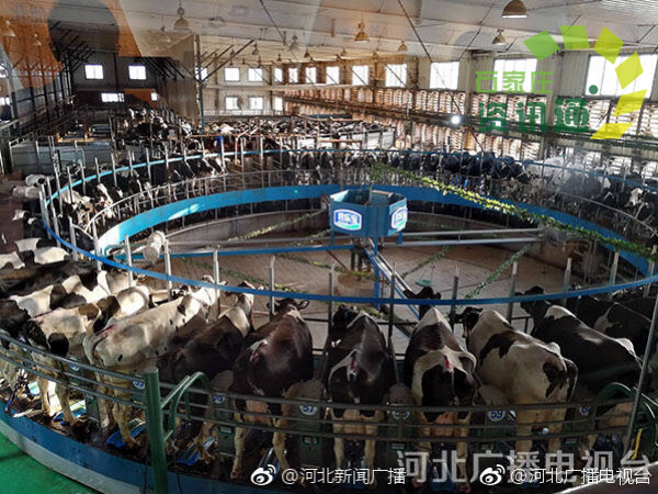 鹿泉區(qū)銅冶鎮(zhèn)最新動(dòng)態(tài)與溫馨日常