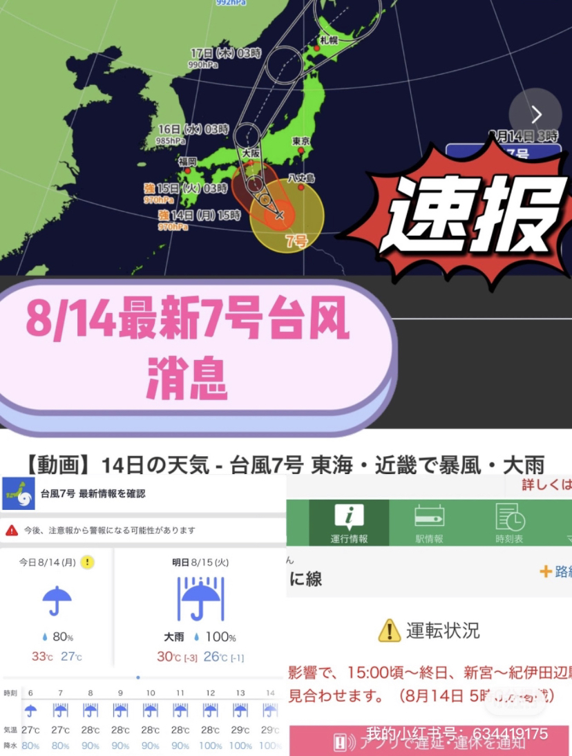 臺(tái)風(fēng)來(lái)襲，知識(shí)海洋并肩作戰(zhàn)，最新關(guān)于臺(tái)風(fēng)12號(hào)的消息報(bào)告