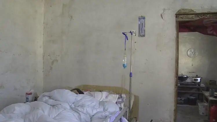 成武縣汶上鎮(zhèn)探秘，巷弄深處的獨(dú)特小店最新消息揭秘