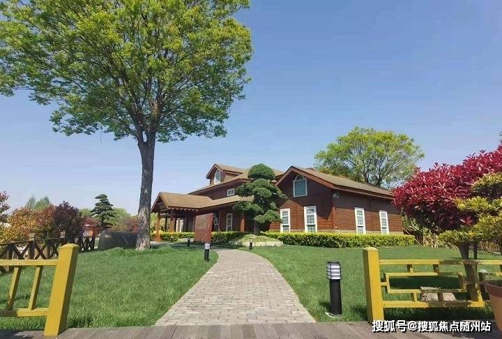 變化中的學(xué)習(xí)之旅，中澤純境最新消息與自信成就之源