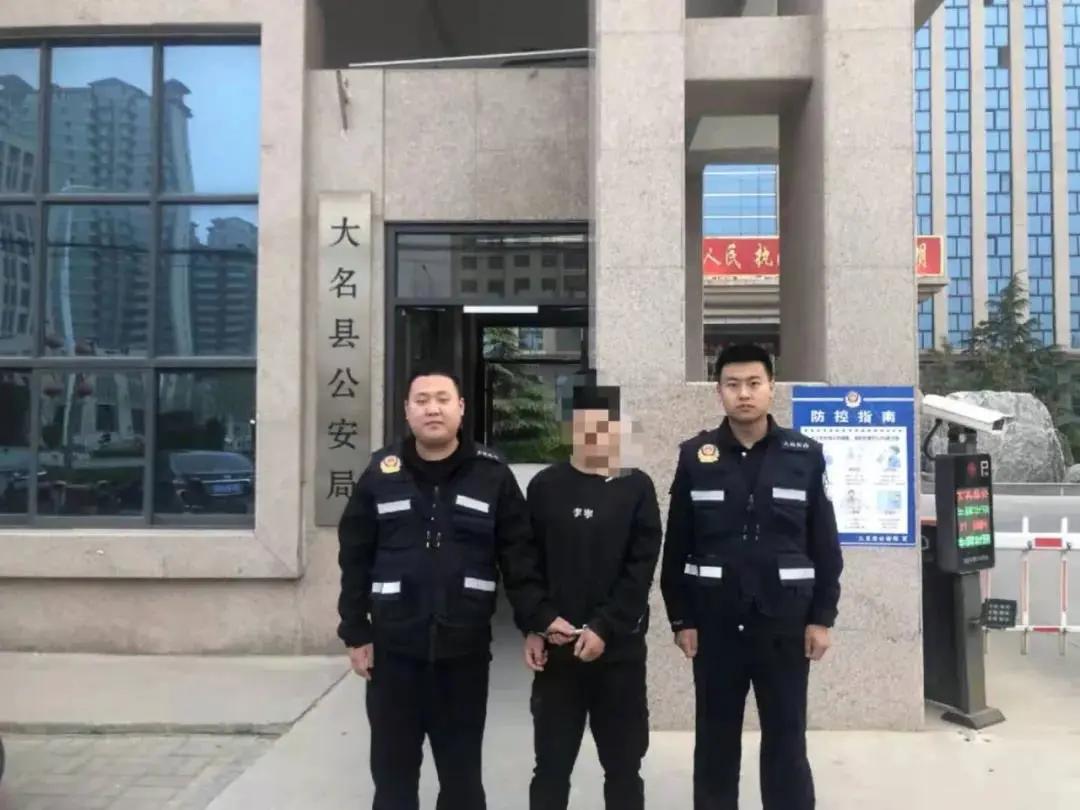 大名出租房屋最新動態(tài)，全面指南與最新消息