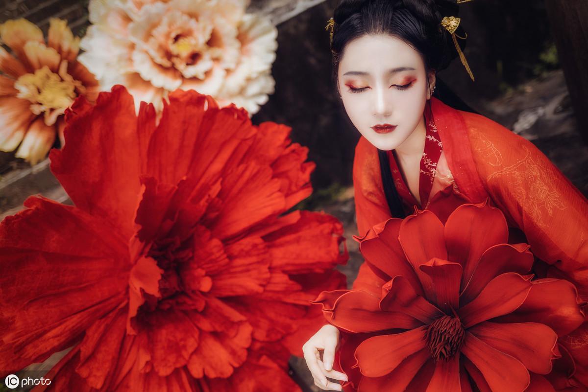 三亞海棠月色最新動態(tài)更新，最新消息匯總