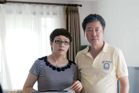 趙寶剛最新電視劇深度解析與探討，新劇探討與探討