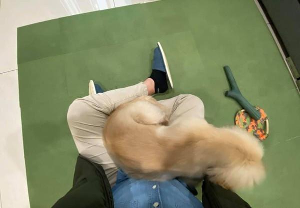 探索萌文化的魅力之旅，最新章節(jié)閱讀大全