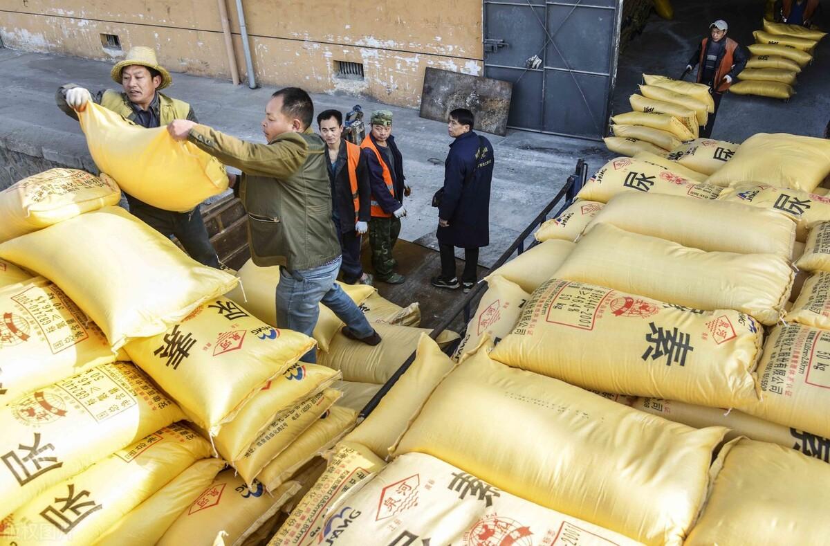 全國(guó)尿素最新價(jià)格，科技重塑生活下的新面貌