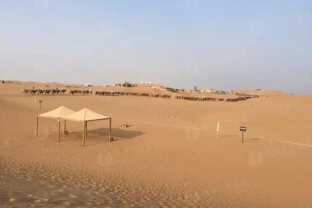 寧夏自駕游攻略大揭秘，最新攻略分享