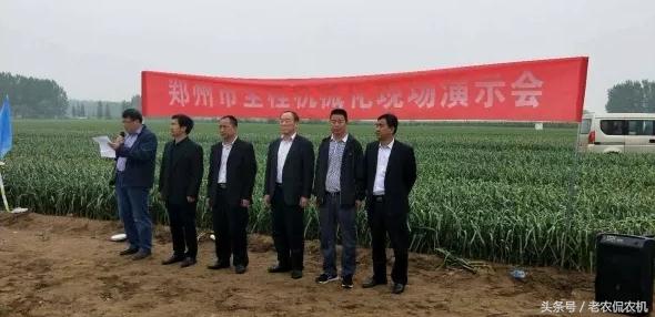 中牟大蒜最新價(jià)格揭秘，小巷深處的蒜香寶藏