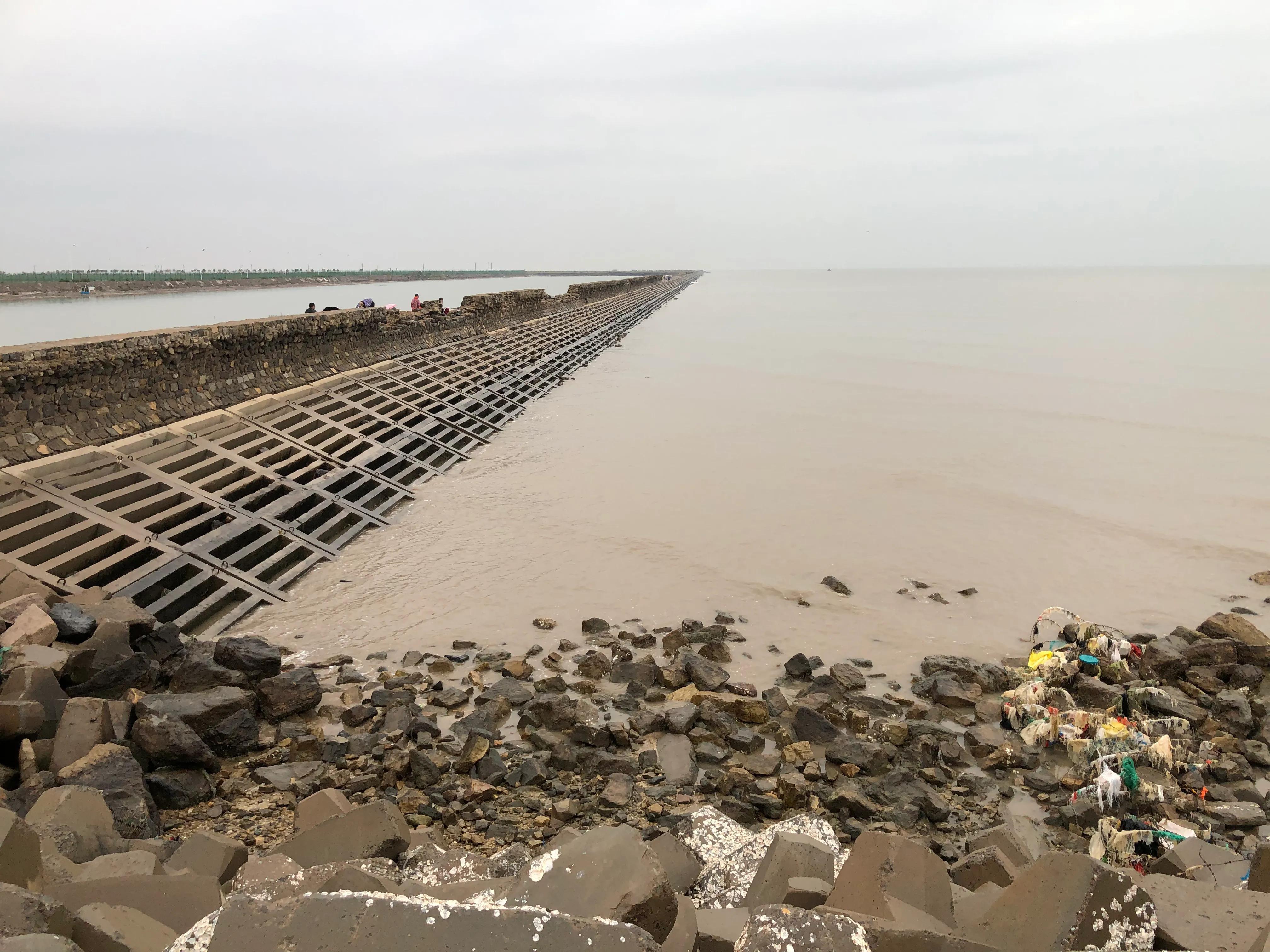 黃驊港最新招聘動(dòng)態(tài)，日常招聘故事與友情紐帶
