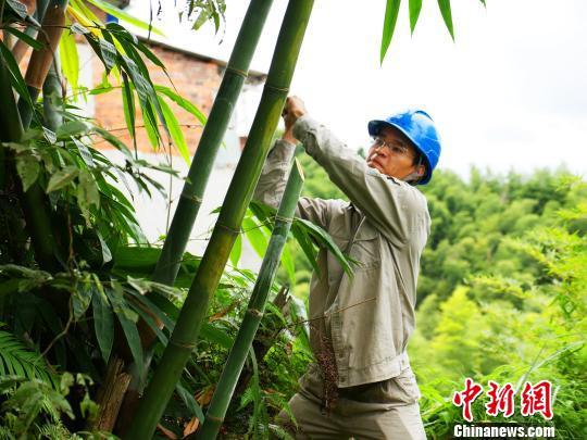 寧德臺風最新動態(tài)，科技智能守護安全前沿