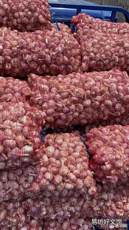 邳州大蒜最新價(jià)格行情指南，了解大蒜市場(chǎng)趨勢(shì)與價(jià)格變動(dòng)