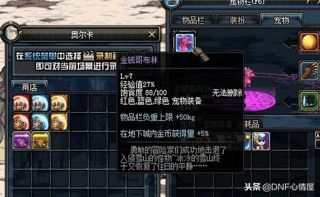 DNF最新寵物重磅上線，科技之巔，極致體驗寵物的誕生