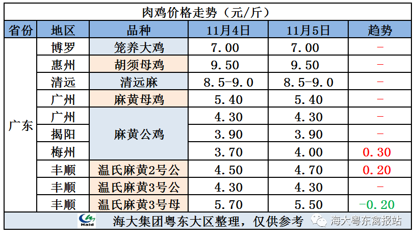 廣東雞價(jià)最新行情，心靈與自然的旅行交響曲