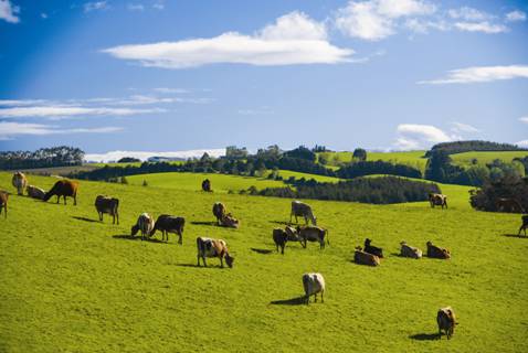 時代見證，最新牧場及其背景與重大事件概覽
