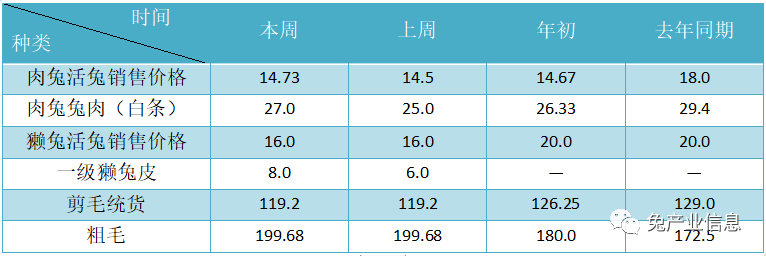 獺兔價(jià)格最新行情揭秘，溫情故事在兔子洞展開
