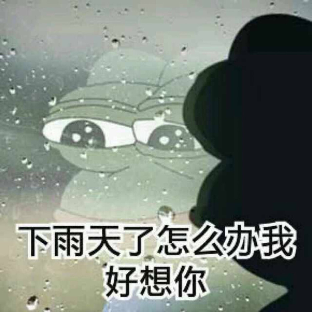 微信下雨表情包，網(wǎng)絡(luò)文化現(xiàn)象的深度探析