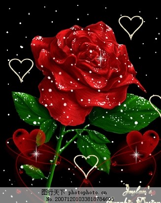 科技與藝術(shù)完美融合，最新玫瑰花閃圖欣賞