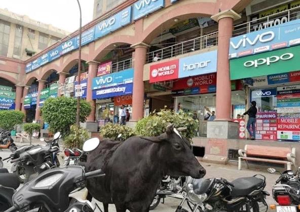 部落沖突OPPO最新版深度解析，優(yōu)劣與我的觀點分享