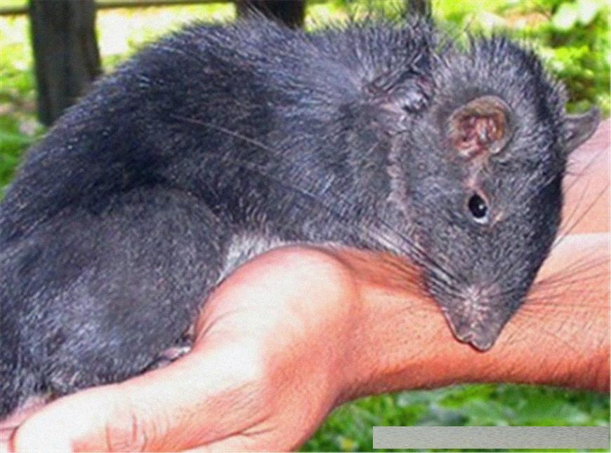 穿越火線4月探索自然美景活動，尋找內(nèi)心的平和與寧靜之旅