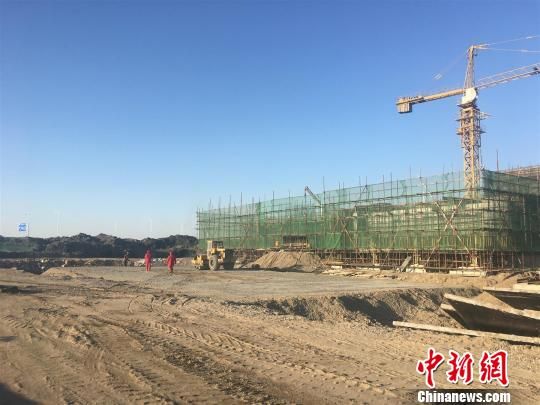 唐山豐南港最新動態(tài)，港口邊的溫情故事