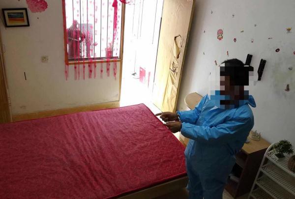 合肥命案深度解析，事件真相揭秘