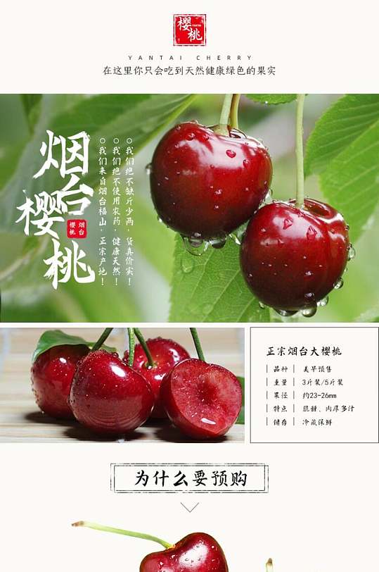 煙臺(tái)最新大櫻桃品種探析