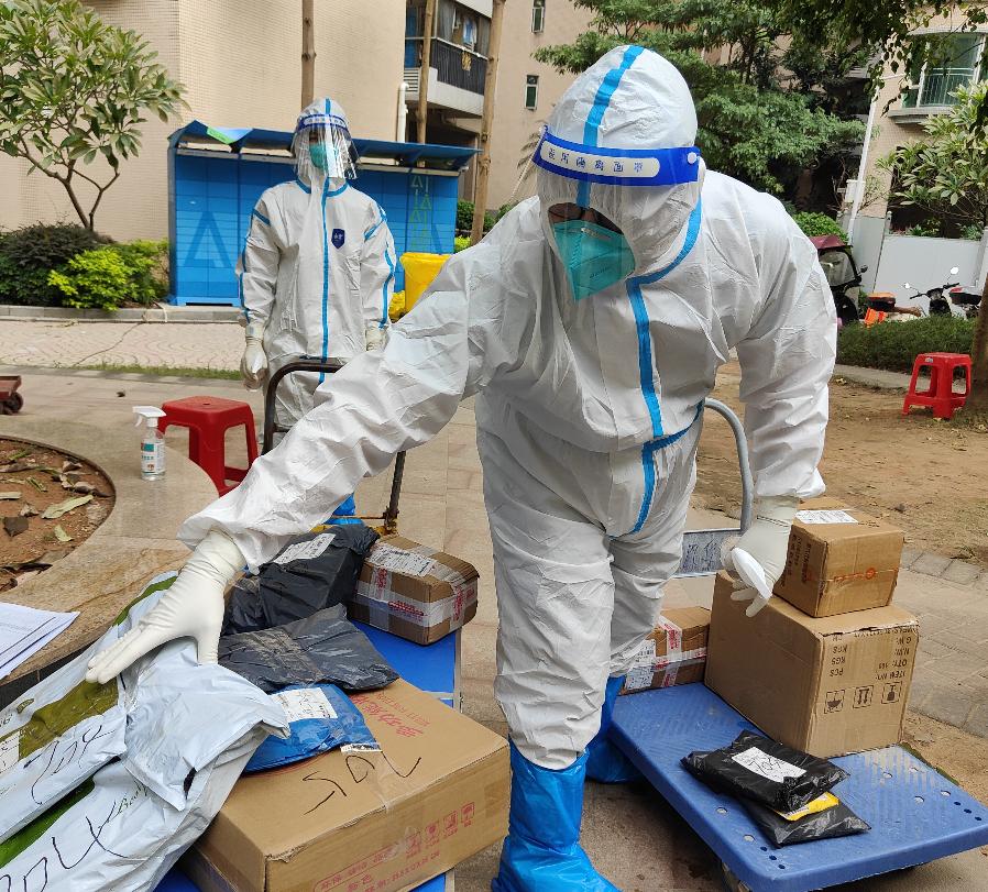 新塘順欣花園最新動(dòng)態(tài)，現(xiàn)代居住新潮流的引領(lǐng)者