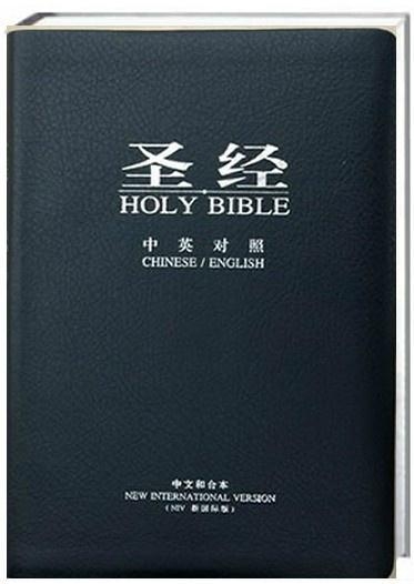 圣經(jīng)最新版本，科技與信仰的交融之作