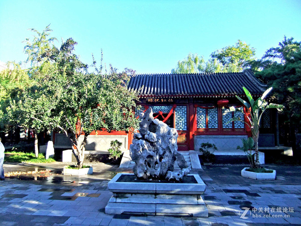 最新怡春院手機在線，日常趣事與情感紐帶連接的世界