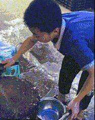 劍客無敵逆天邪神最新章節(jié)探秘，逆天劍意之征途