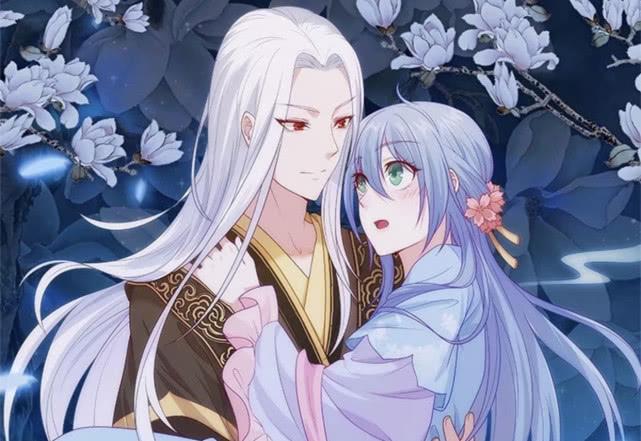 侯門寵妻，古代豪門婚姻生活的深度解讀最新章節(jié)解析