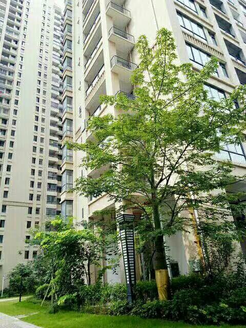 力沃幸福里最新動態(tài)，學(xué)習(xí)變化，成就自信與幸福之源