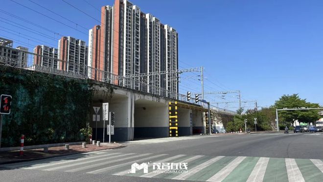 茂名最新動(dòng)態(tài)，蓬勃發(fā)展的城市關(guān)注焦點(diǎn)