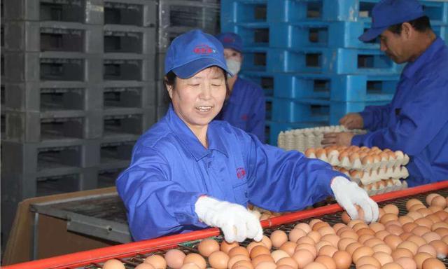 太仆寺旗寶昌最新房價，家的溫暖與房地產(chǎn)市場動態(tài)