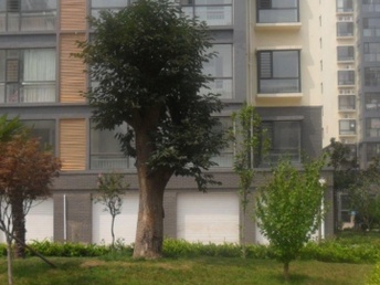 臨沭租房最新信息大全，便捷生活從此開始