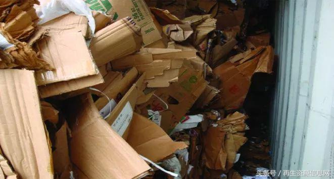 進(jìn)口廢紙最新政策下的隱秘寶藏探索，特色小店探秘之旅