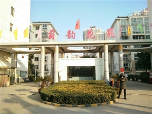 最新社旗獨家小院出售，市場趨勢、正反觀點分析與個人立場探討