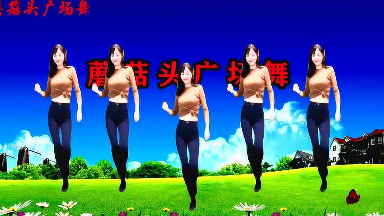 隨風飄舞最新廣場舞，舞動自信，展現(xiàn)生活力量