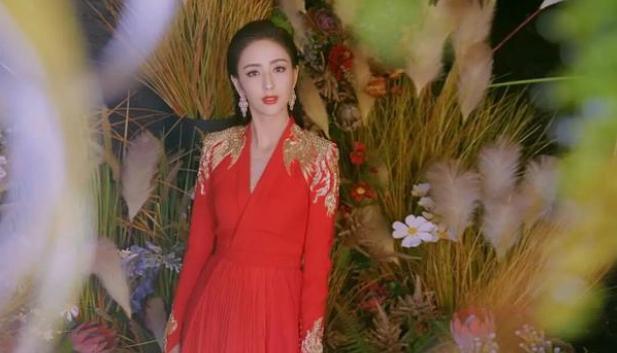 佟麗婭最新新聞，獲取與解讀明星資訊的步驟指南