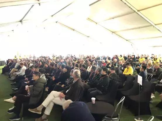 最新鋯英砂價格揭秘，小巷寶藏砂店探秘之旅