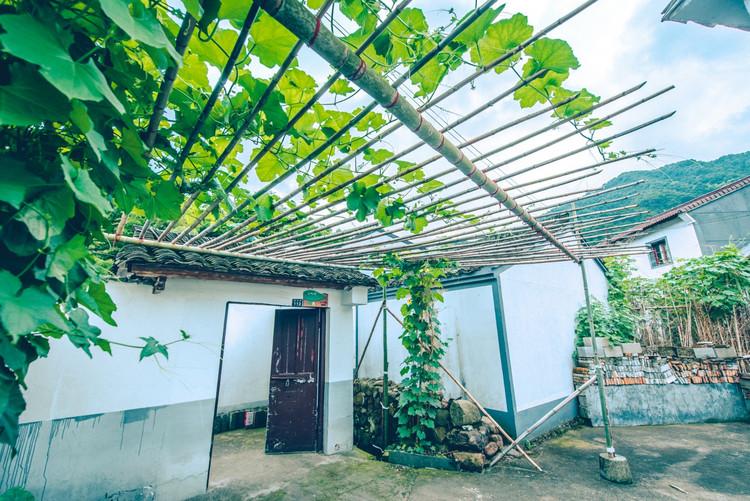 神級(jí)茶人最新章節(jié)，探尋自然美景之旅，追尋內(nèi)心平靜之道