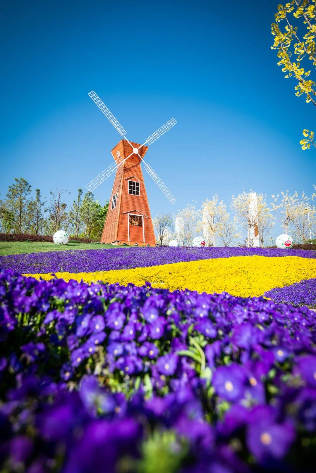 滎陽市最新房價動態(tài)，時代印記與城市的脈絡(luò)