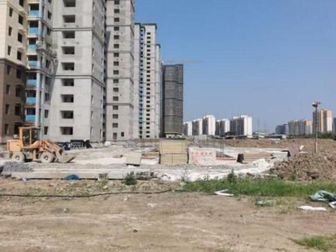 荊州農(nóng)高區(qū)最新動態(tài)，引領農(nóng)業(yè)現(xiàn)代化新篇章