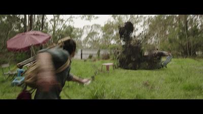 自然共舞的心靈之旅，最新狗狗電影鼓舞人心