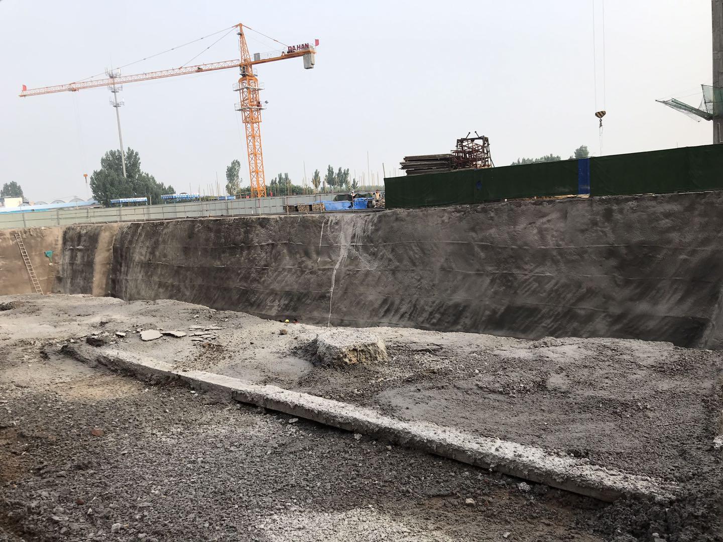 鵬洲麗城最新動(dòng)態(tài)揭秘，小巷中的隱藏瑰寶